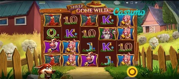 Sheep Gone Wild
