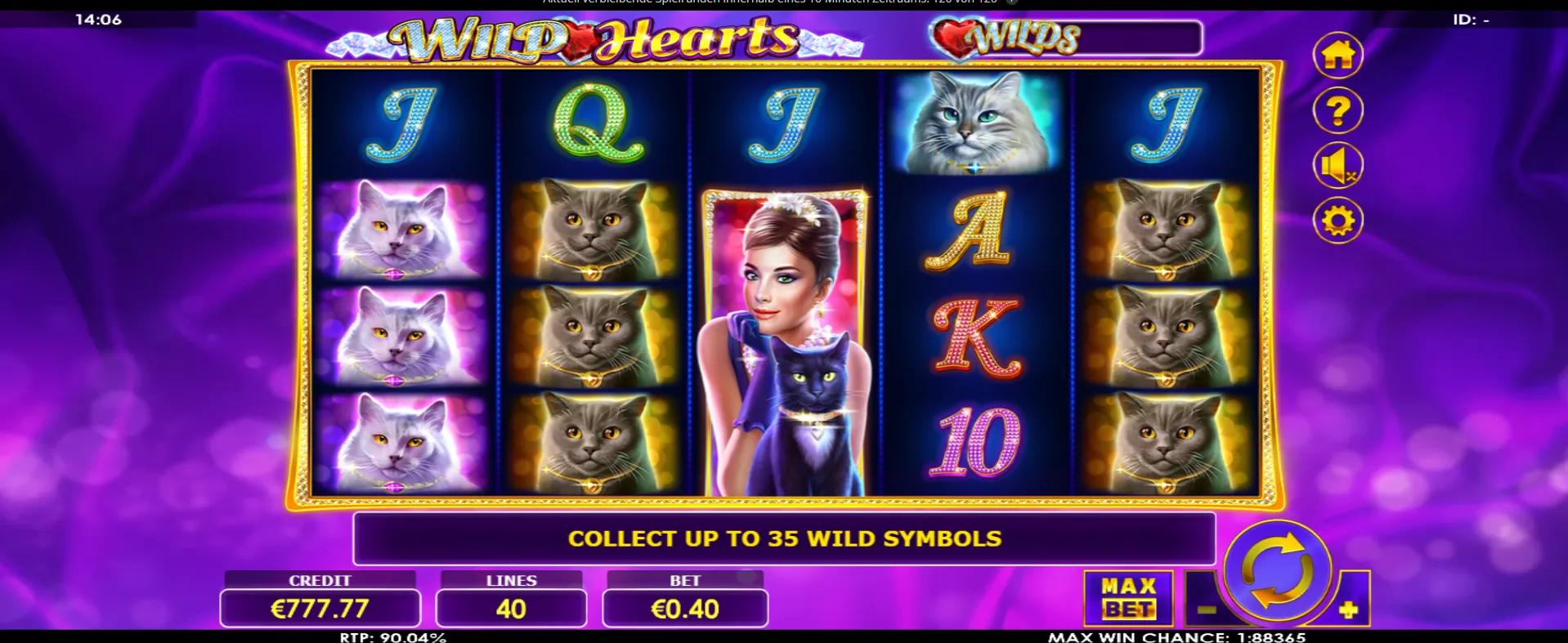 Wild Hearts