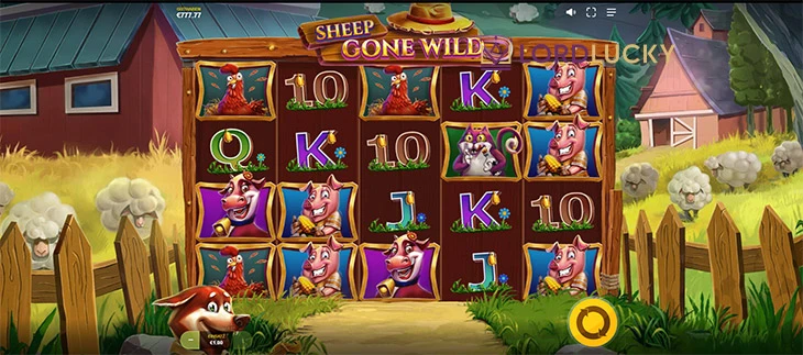 Sheep Gone Wild