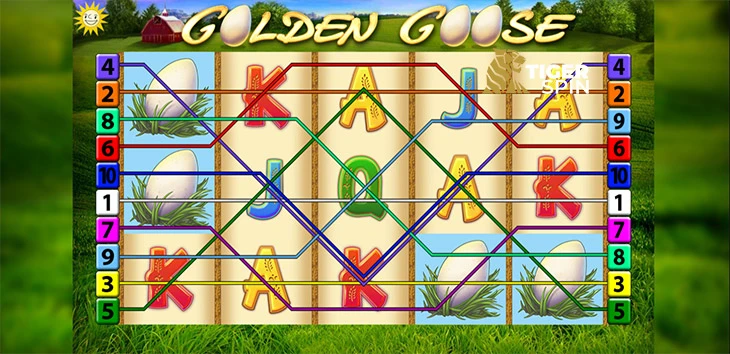 Golden Goose