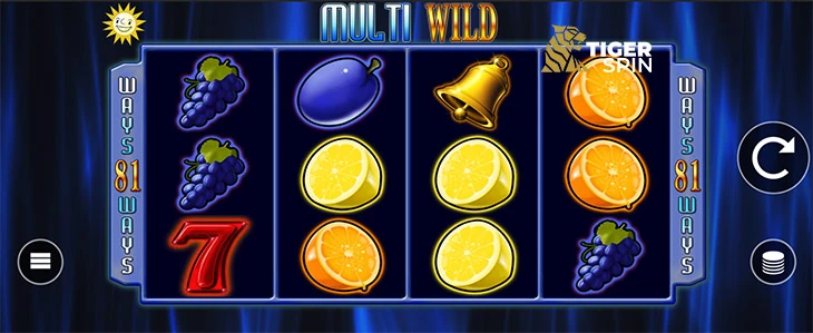 Multi Wild