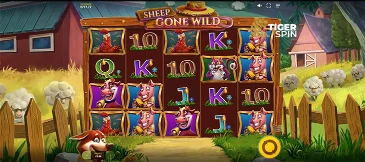 Sheep Gone Wild