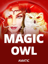 Magic Owl