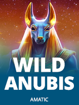 Wild Anubis