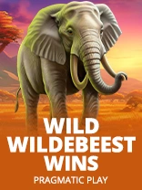 Wild Wildebeest Wins 