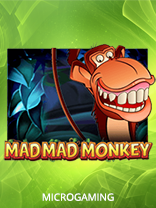 Mad Mad Monkey