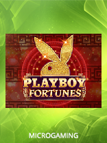 Playboy Fortunes™