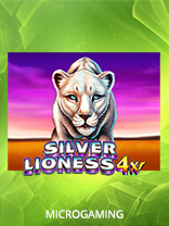Silver Lioness4x