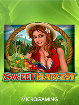 Sweet Harvest