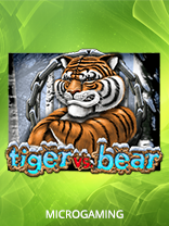 Tiger vs Bear
