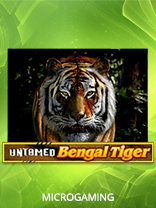 Untamed Bengal Tiger