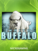 White Buffalo