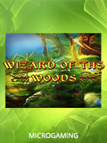 Wizard of the Woods
