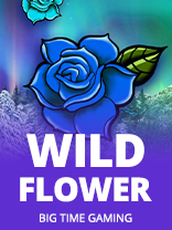 Wild Flower