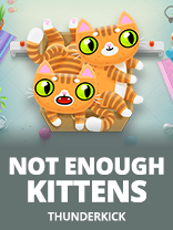 Not Enough Kittens