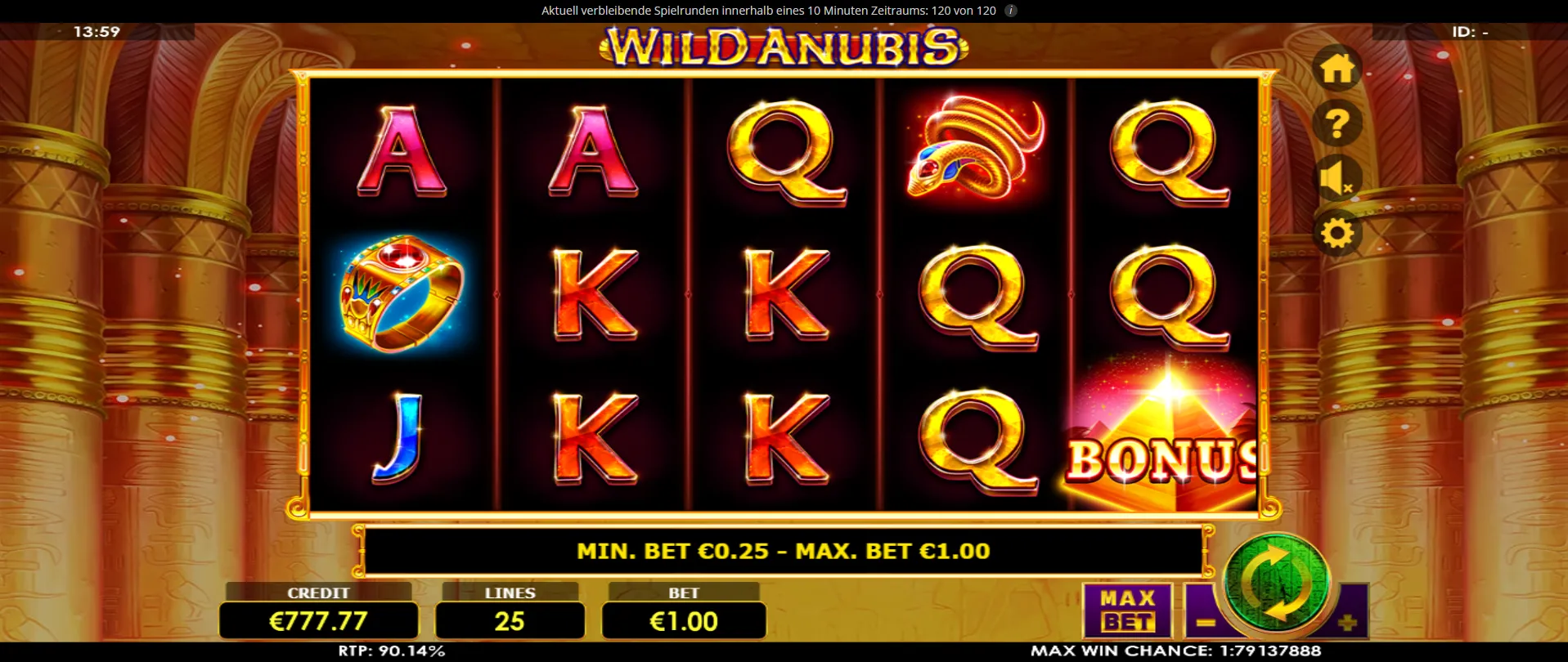 Wild Anubis