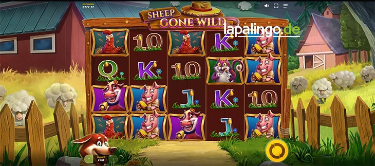 Sheep Gone Wild