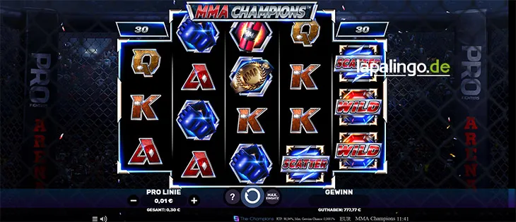 MMA Champions