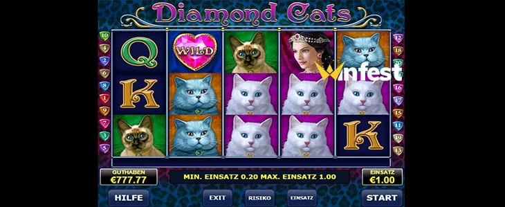 diamond cats Logo