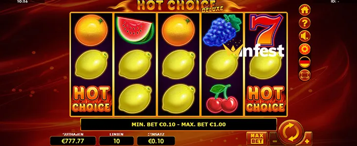 hot choice deluxe Logo