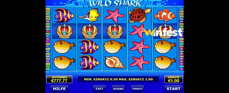 wild shark Logo