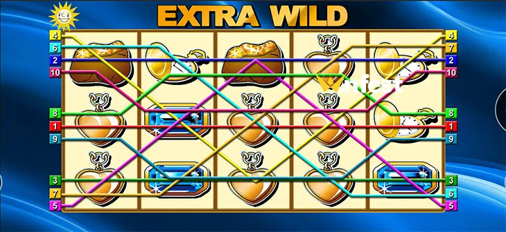 extra wild Logo