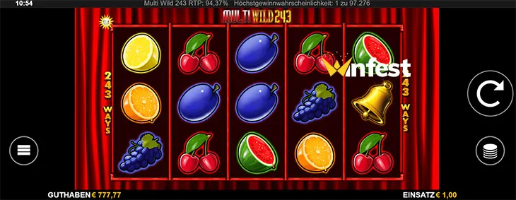 multi wild 243 Logo