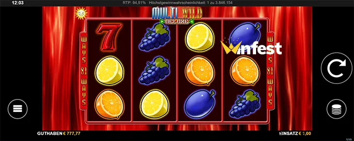 multi wild deluxe Logo