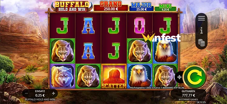 buffalo hold and win Logo