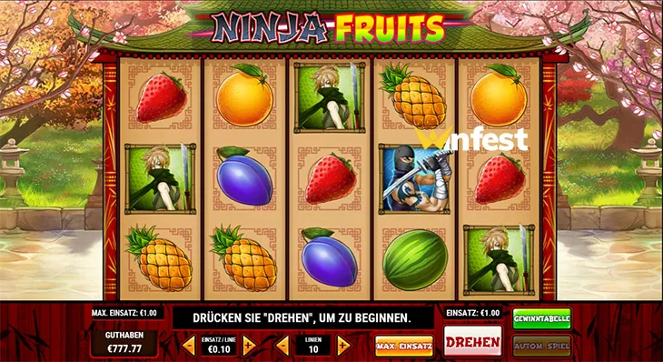 ninja fruits Logo