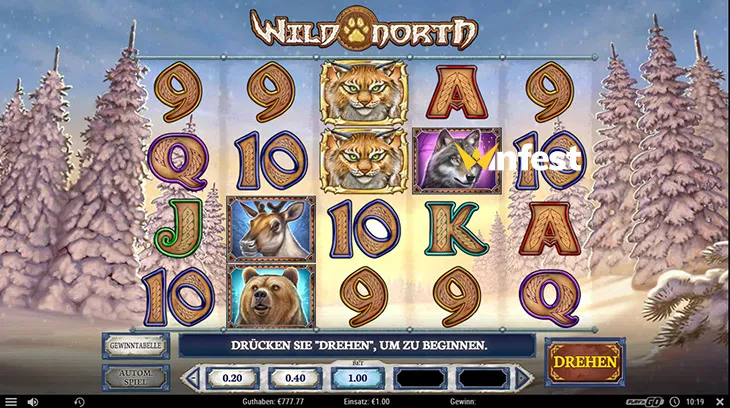 wild north Logo