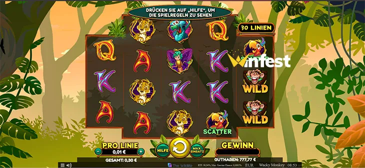 wacky monkey Logo